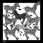 zebra scarf