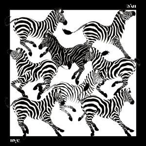 zebra scarf