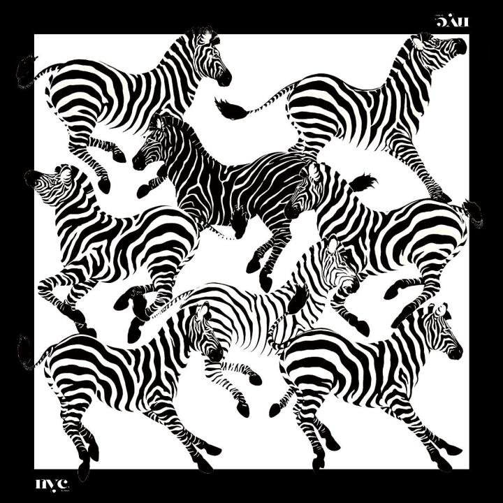 zebra scarf